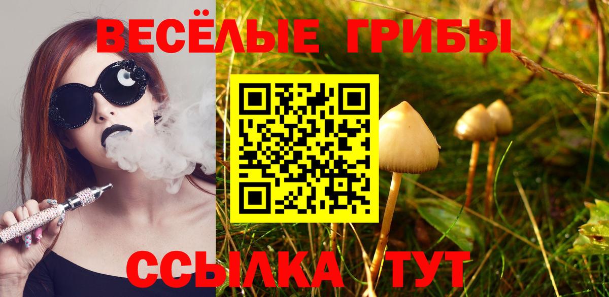 Псилоцибиновые грибы ЛСД Верхняя Пышма