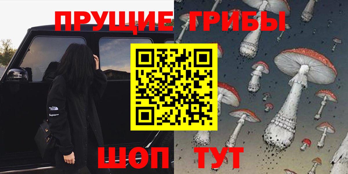 Псилоцибиновые грибы Cubensis  Вход с VPN  Верхняя Пышма 